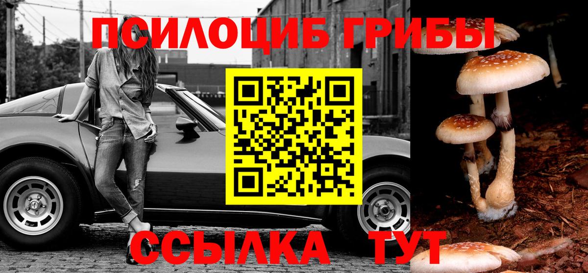 Галлюциногенные грибы MAGIC MUSHROOMS  Псилоцибиновые грибы GOLDEN TEACHER  Ефремов  Вход с VPN 